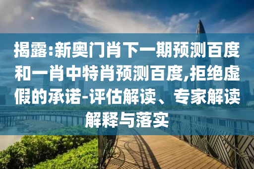 揭露:新奥门肖下一期预测百度和一肖中特肖预测百度,拒绝虚假的承诺-评估解读、专家解读解释与落实