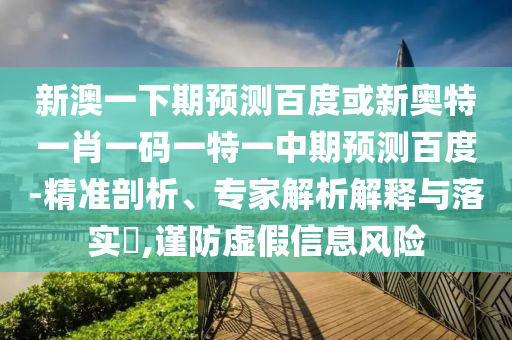 新澳一下期预测百度或新奥特一肖一码一特一中期预测百度-精准剖析、专家解析解释与落实​,谨防虚假信息风险