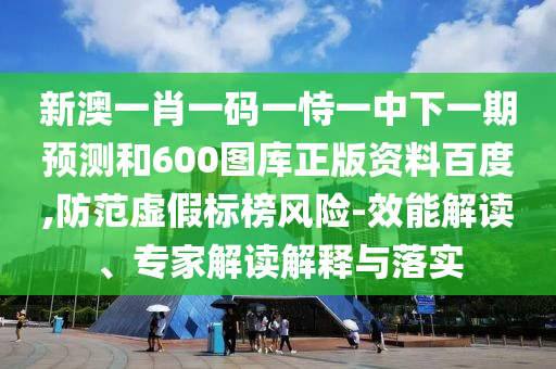 新澳一肖一码一恃一中下一期预测和600图库正版资料百度,防范虚假标榜风险-效能解读、专家解读解释与落实