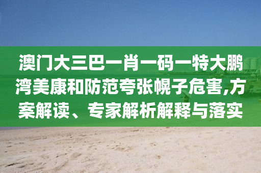 澳门大三巴一肖一码一特大鹏湾美康和防范夸张幌子危害,方案解读、专家解析解释与落实