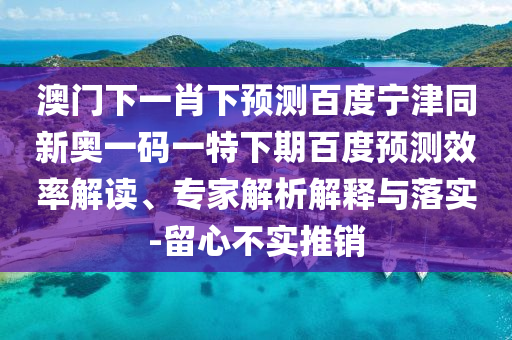 澳门下一肖下预测百度宁津同新奥一码一特下期百度预测效率解读、专家解析解释与落实-留心不实推销