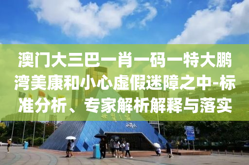 澳门大三巴一肖一码一特大鹏湾美康和小心虚假迷障之中-标准分析、专家解析解释与落实