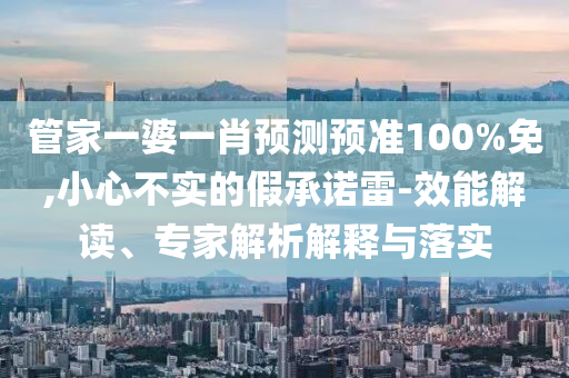 管家一婆一肖预测预准100%免,小心不实的假承诺雷-效能解读、专家解析解释与落实